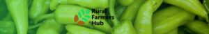 Rural Farmers Hub logo | Launch